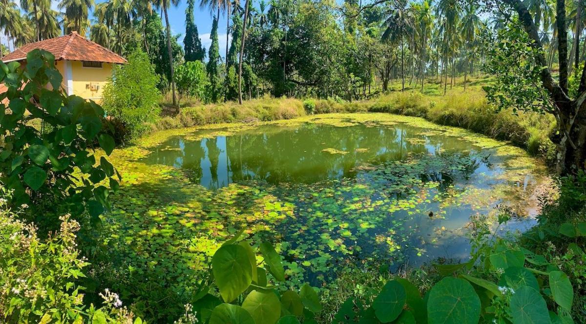 Beautiful Farm House & Villa - Monappa Estate - Top Rated 乌杜皮 外观 照片